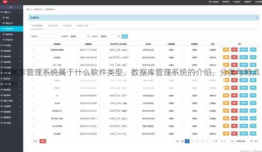 数据库管理系统属于什么软件类型