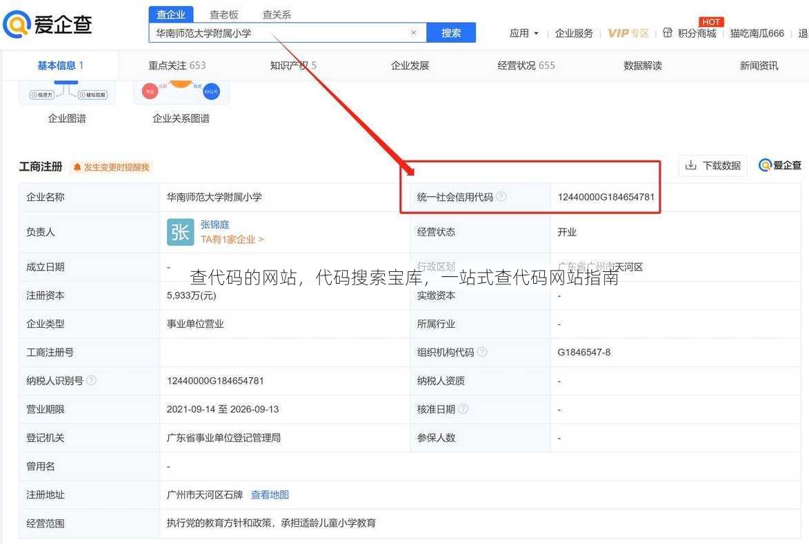 查代码的网站