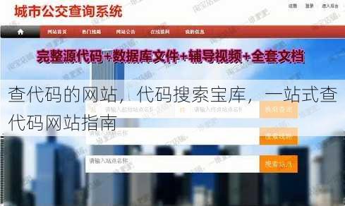 查代码的网站