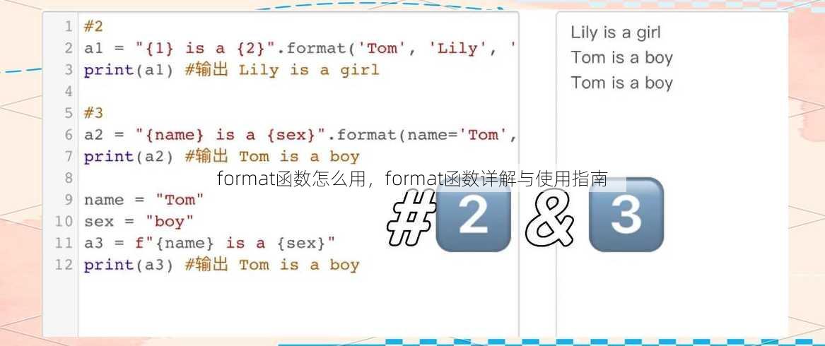 format函数怎么用