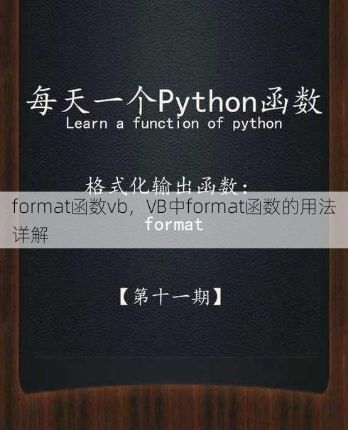 format函数vb