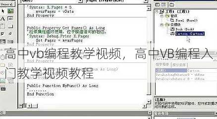 高中vb编程教学视频