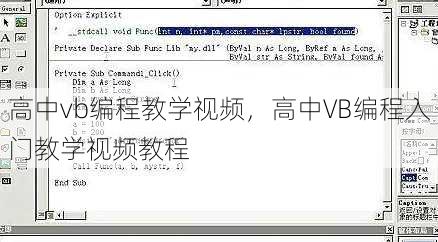 高中vb编程教学视频