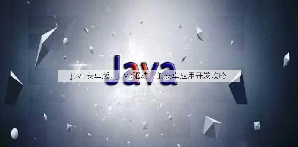 java安卓版