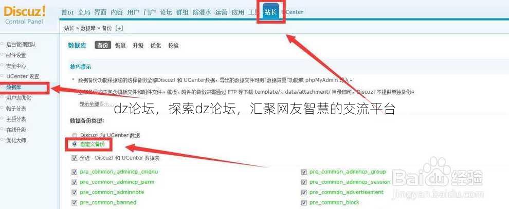 dz论坛