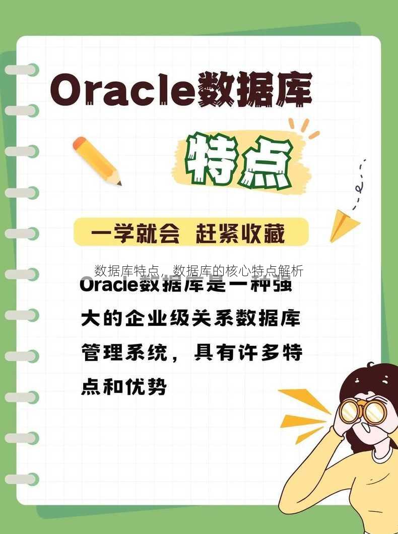 数据库特点