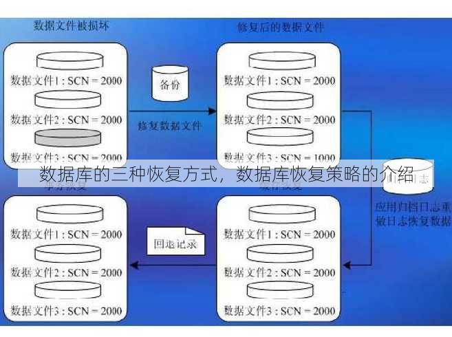 数据库的三种恢复方式