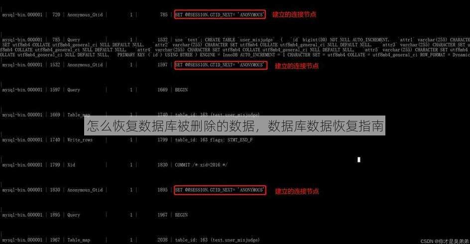 怎么恢复数据库被删除的数据