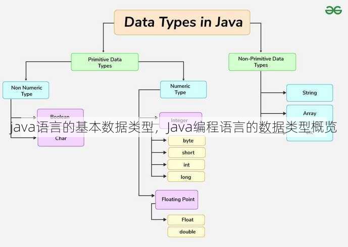 java语言的基本数据类型