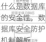 什么是数据库的安全性