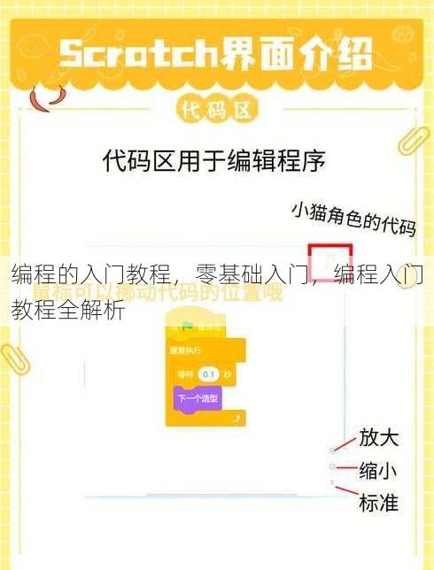 编程的入门教程