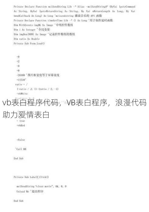 vb表白程序代码