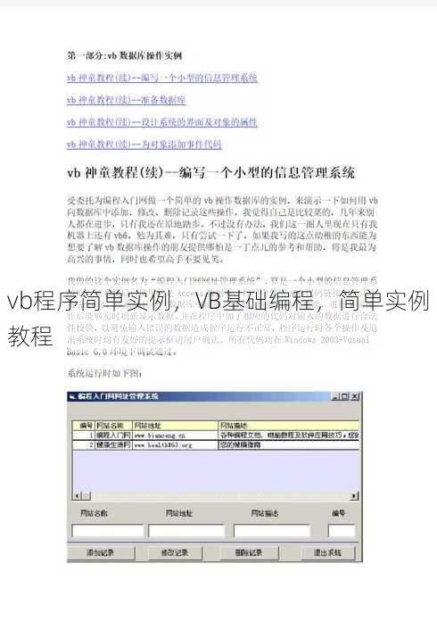 vb程序简单实例