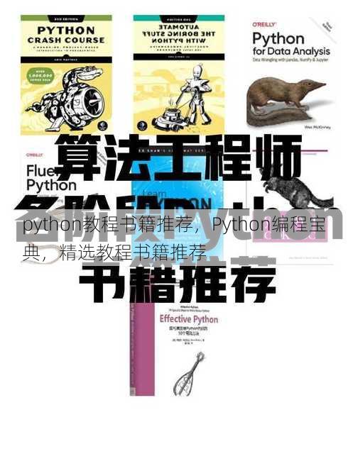 python教程书籍推荐