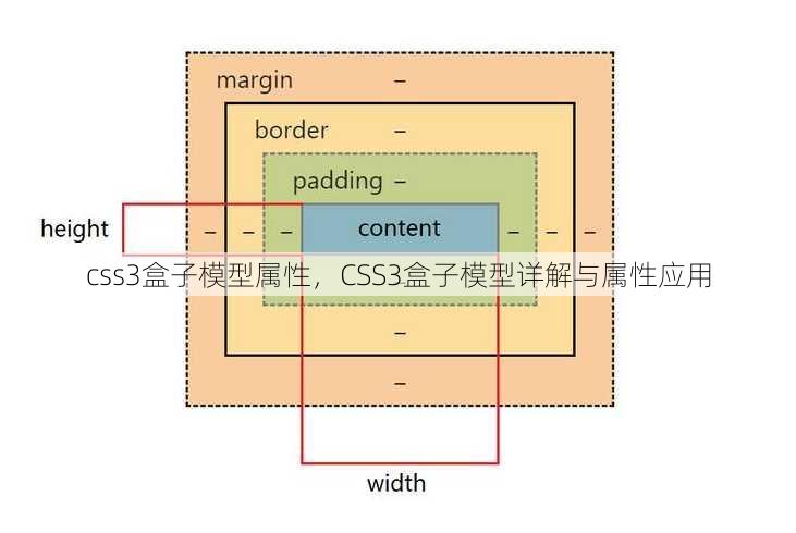 css3盒子模型属性