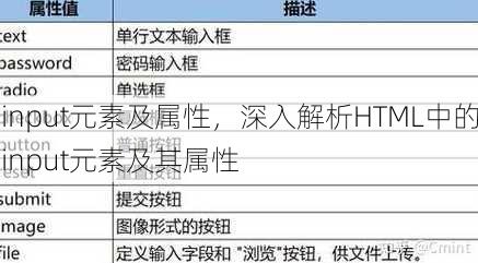 input元素及属性