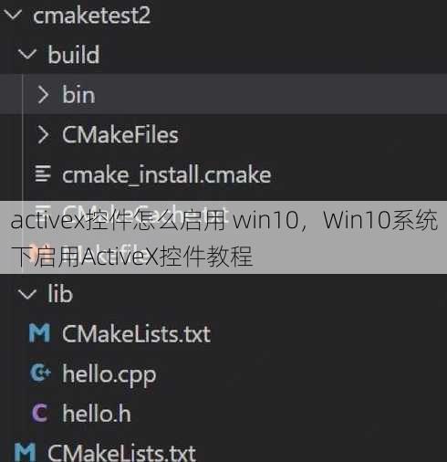 activex控件怎么启用 win10
