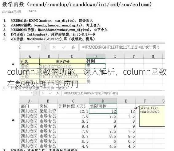 column函数的功能