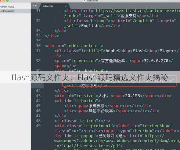 flash源码文件夹