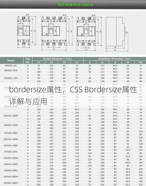 bordersize属性