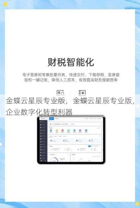 金蝶云星辰专业版