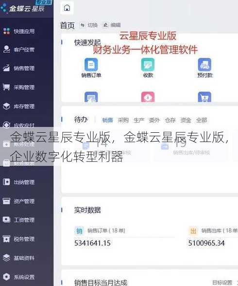金蝶云星辰专业版