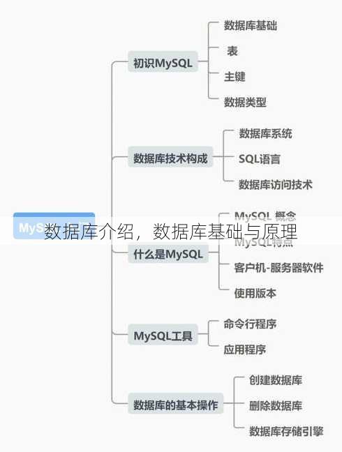 数据库介绍