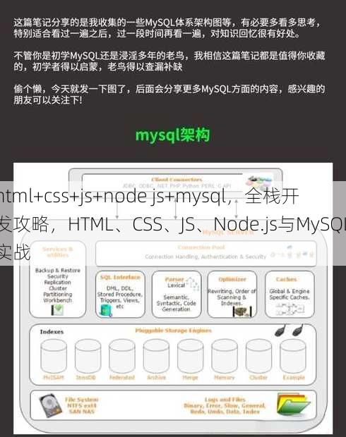 html+css+js+node js+mysql