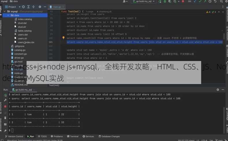 html+css+js+node js+mysql