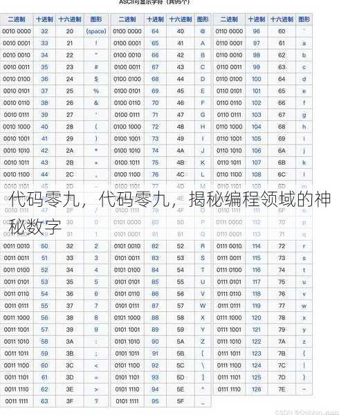 代码零九