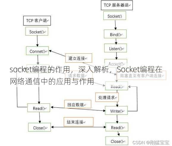 socket编程的作用