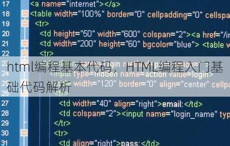 html编程基本代码