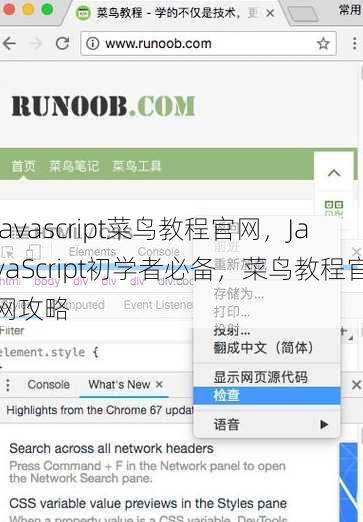 javascript菜鸟教程官网