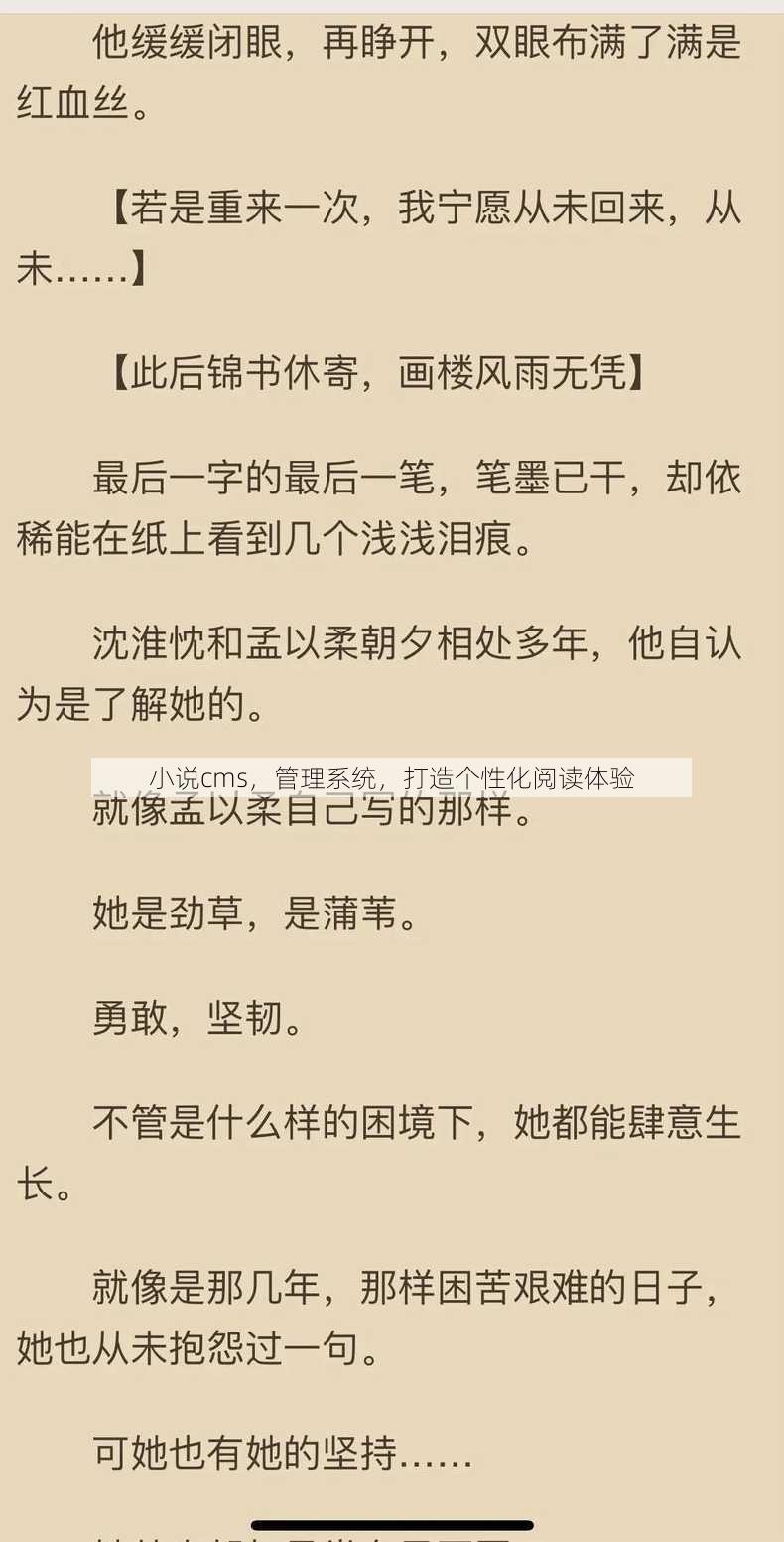 小说cms
