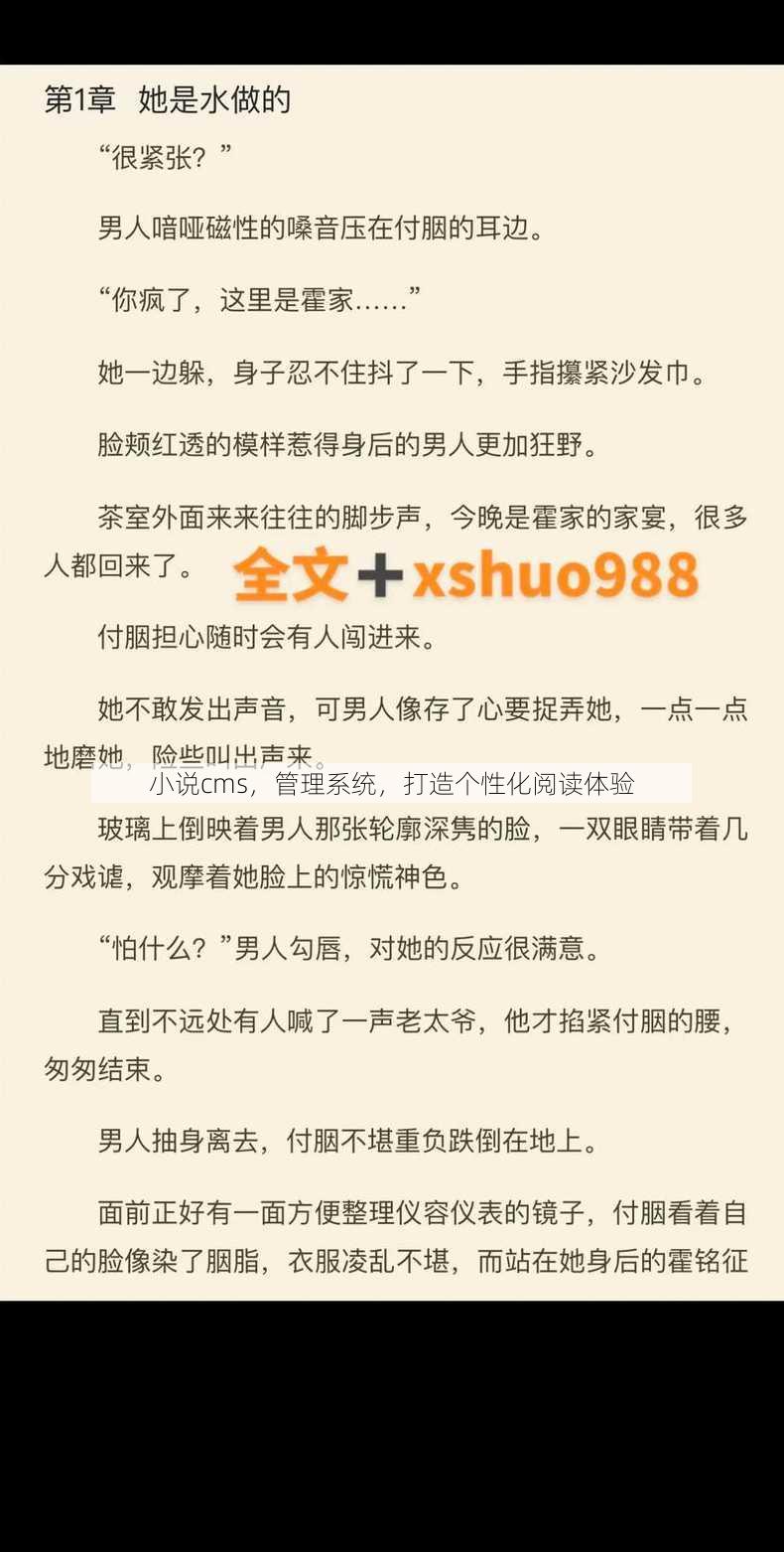 小说cms