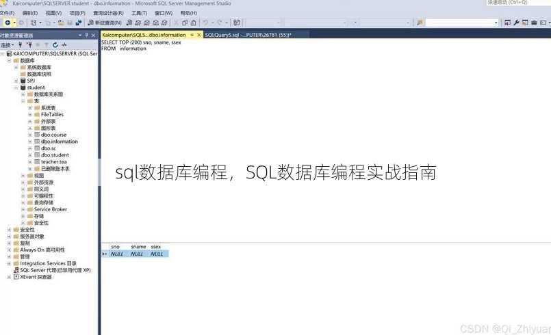 sql数据库编程