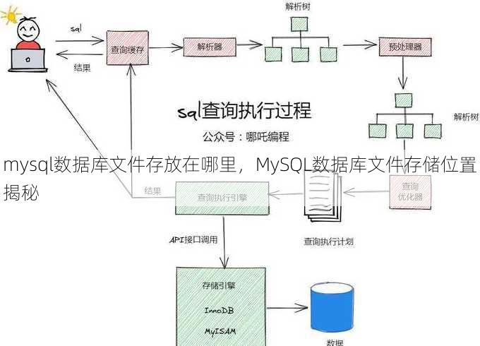 mysql数据库文件存放在哪里