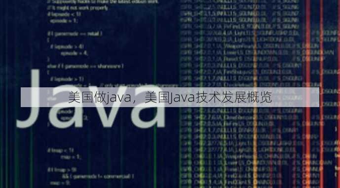 美国做java