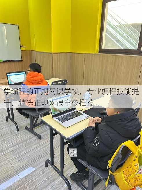学编程的正规网课学校