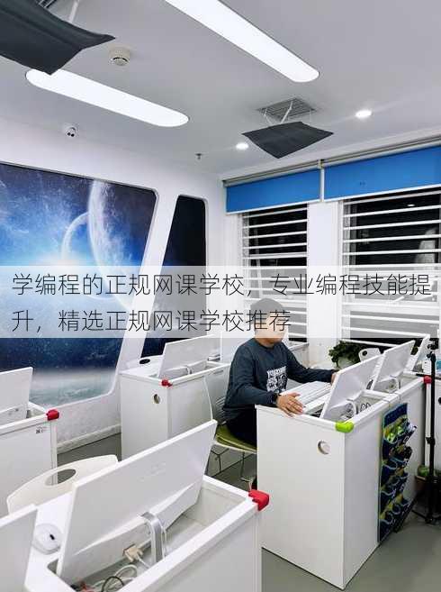 学编程的正规网课学校