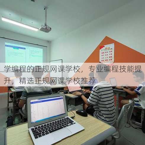 学编程的正规网课学校