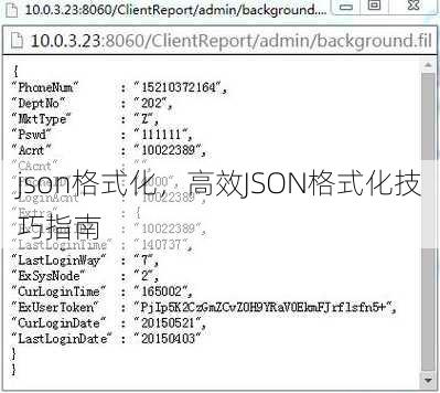 json格式化