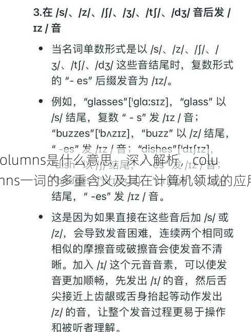columns是什么意思