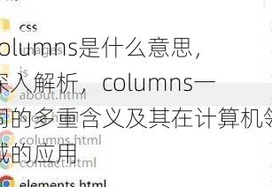 columns是什么意思