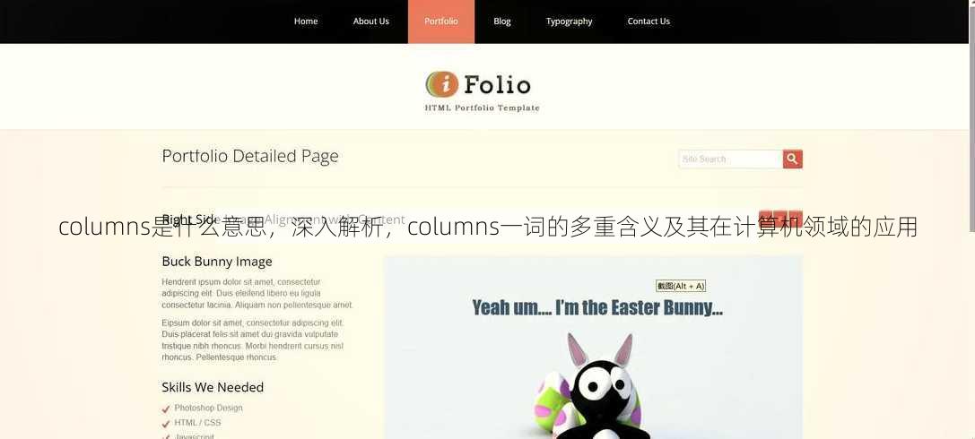 columns是什么意思