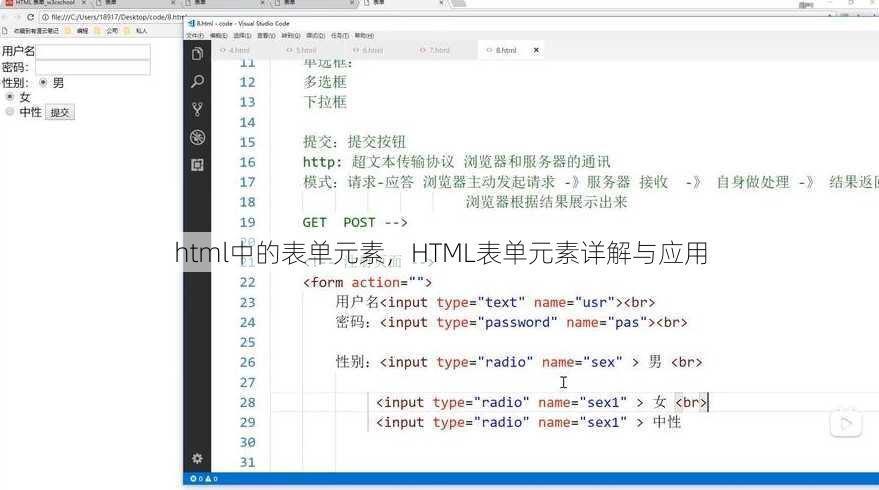 html中的表单元素
