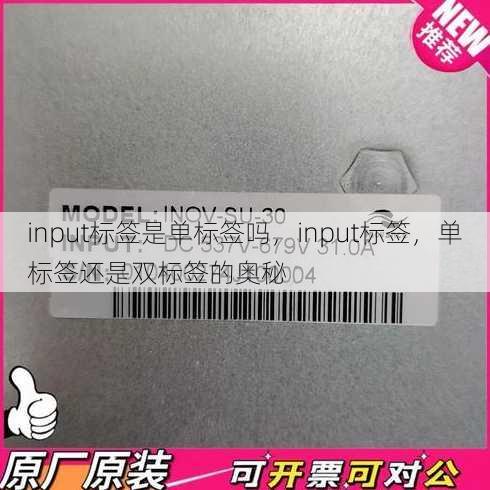 input标签是单标签吗