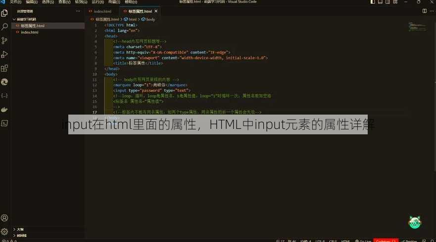input在html里面的属性