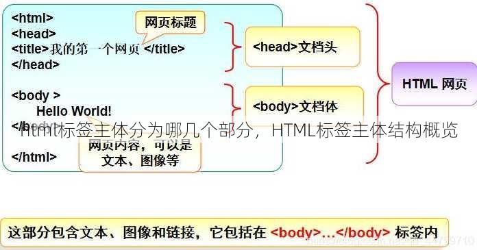 html标签主体分为哪几个部分
