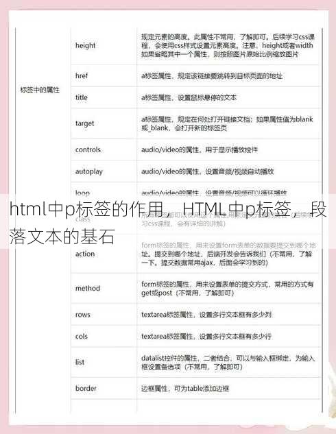 html中p标签的作用
